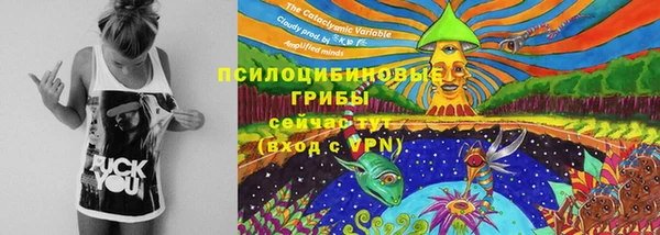 прущие крисы Зеленодольск