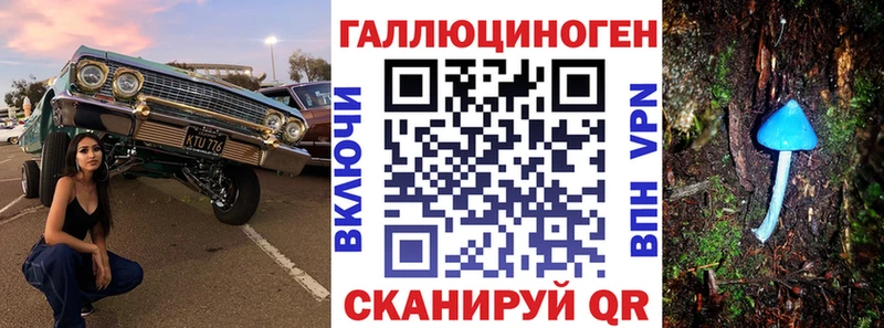Купить  Черепаново  Галлюциногенные грибы Psilocybe 